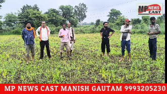 *अमानक बीज एवं रासायनिक दवाइयों से धान की फसल बर्बाद, किसानों ने प्रशासन से लगाई न्याय की गुहार*