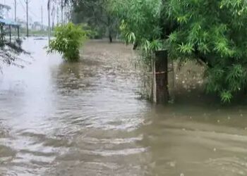 मध्य प्रदेश में भारी बारिश से जनजीवन अस्त-व्यस्त,