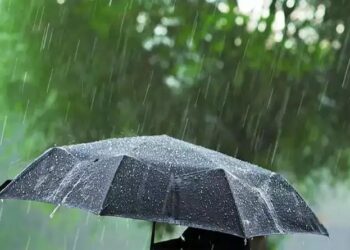 मध्य प्रदेश के सात जिलों में भारी बारिश का अलर्ट, 4 इंच तक बरस सकता है पानी