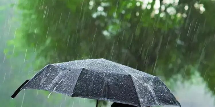 मध्य प्रदेश के सात जिलों में भारी बारिश का अलर्ट, 4 इंच तक बरस सकता है पानी