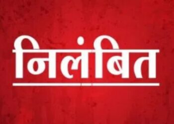 फॉर्मर रजिस्ट्री और सीएम हेल्पलाइन में लापरवाही पर पटवारी निलंबित