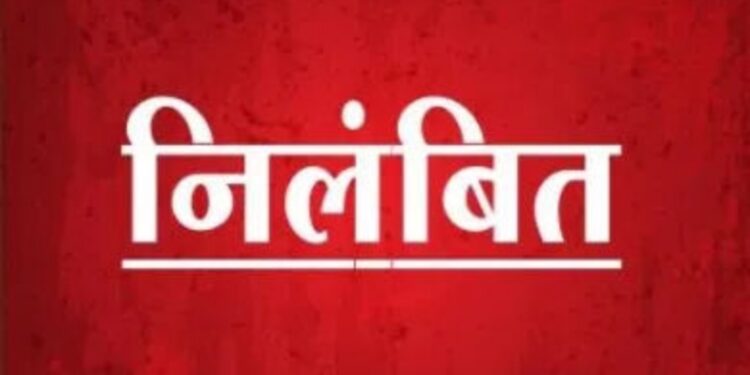 फॉर्मर रजिस्ट्री और सीएम हेल्पलाइन में लापरवाही पर पटवारी निलंबित