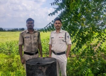 *अवैध शराब निर्माण के विरुद्ध आबकारी विभाग की प्रभावी कार्रवाई* *कारापाठा एवं लहराढाना में दबिश देकर 400 किलोग्राम महुआ लाहन नष्ट किया*