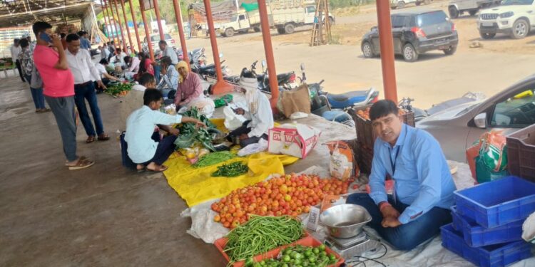 26 सितंबर दिन शनिवार को गुरिया सब्जी मंडी में लगेगा 42वां साप्ताहिक जैविक हाट  शहरवासियों द्वारा खूब सराहा जा रहे है जैविक उत्पाद