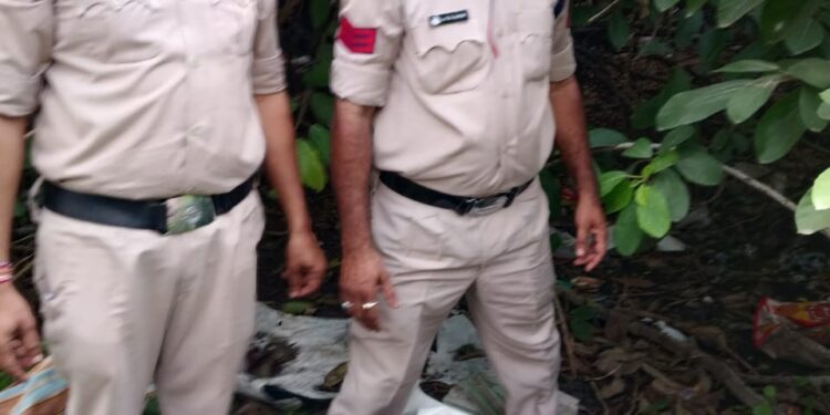आबकारी विभाग को छापामार कार्यवाही के दौरान झाड़ियों में मिली लावारिश हालत में अंग्रेजी शराब की महंगी बोतलें..,55 लीटर हाथ भट्टी मदिरा,510 किलोग्राम लाहन सहित देशी-विदेशी मदिरा बरामद,13 प्रकरण दर्ज..