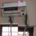 BJP कार्यालय में AC के अंदर निकले ‘नागराज’