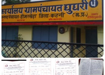 कटनी में पंचायत घोटाले का बड़ा आरोप! फर्जी बिल, नल-जल की राशि और विकास कार्यों पर उठे सवाल