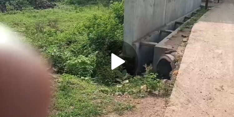 *कटनी में इमलिया और पड़रवार ग्राम की सीमा से लगे प्राकृतिक नाले की उद्योगपति ने मोडी दिशा*  *80 फीट नाले पर हो गया धर्म कांटे का निर्माण, नगर निगम आयुक्त को दी गई शिकायत*