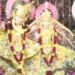 मथुरा लाइव- भागवत भवन श्री कृष्ण जन्मभूमि से आज जन्माष्टमी की आरती देखे VIDEO