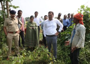 एक एकड़ में धान, 25 डिसमिल में सब्जियों की खेती! कटनी के किसान वृंदावन पटेल का कमाल, कलेक्टर भी पहुंचे खेत देखने