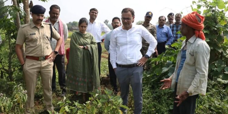 एक एकड़ में धान, 25 डिसमिल में सब्जियों की खेती! कटनी के किसान वृंदावन पटेल का कमाल, कलेक्टर भी पहुंचे खेत देखने
