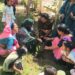 *टिमरनी के आंगनवाड़ी केंद्र क्रमांक 7 में मनाया गया आंगन मिलन समारोह*