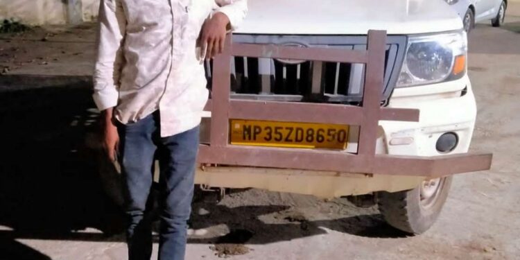 बड़वारा पुलिस का बड़ा एक्शन: शराब पीकर ट्रेलर एवं पिकप चालकों पर ड्रिंक एंड ड्राइव की कार्यवाही कर पिकअप एवं ट्रेलर किए जब्त ।