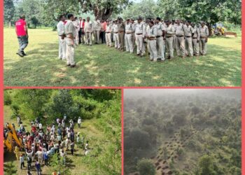 रीठी वन परिक्षेत्र में अतिक्रमण का प्रयास विफल  आगे भी जारी रहेगी ऐसी कार्यवाही