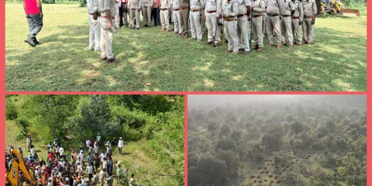 रीठी वन परिक्षेत्र में अतिक्रमण का प्रयास विफल  आगे भी जारी रहेगी ऐसी कार्यवाही