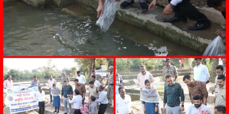 कटनी नदी में कलेक्टर तिवारी का बड़ा कदम 10 हजार मत्स्य बीजों का संचयन, मछुआरों की बढ़ेगी कमाई!
