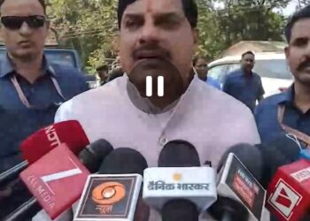 🐅 कान्हा की जंगल सफारी में वन्यजीवों का जलवा! बाघ, तेंदुआ और बारहसिंगा के संरक्षण पर CM मोहन यादव ने कही बड़ी बात